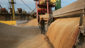 Россия за две декады мая сократила экспорт зерна на 18%